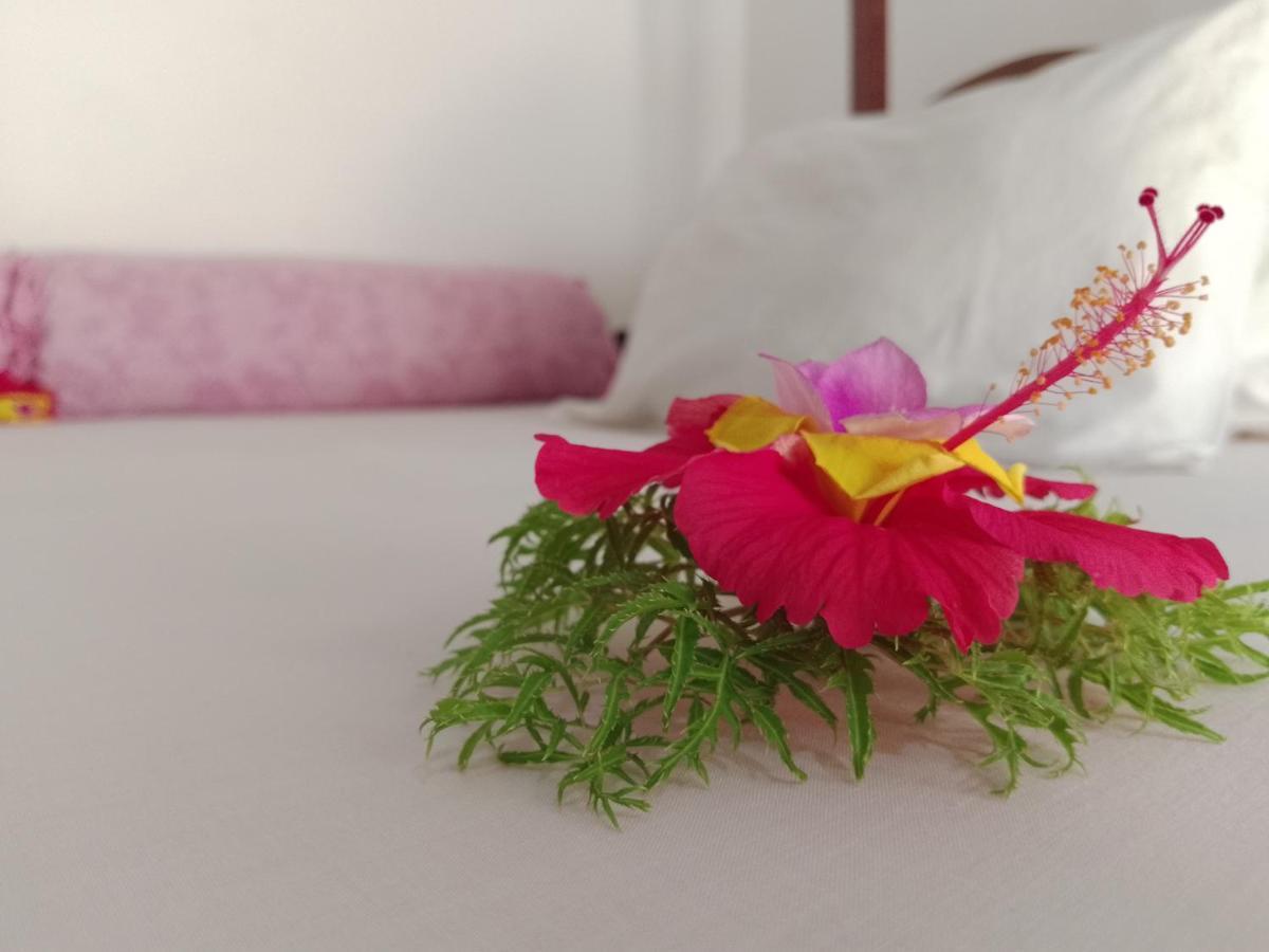 H & H Bungalows Nungwi Kültér fotó