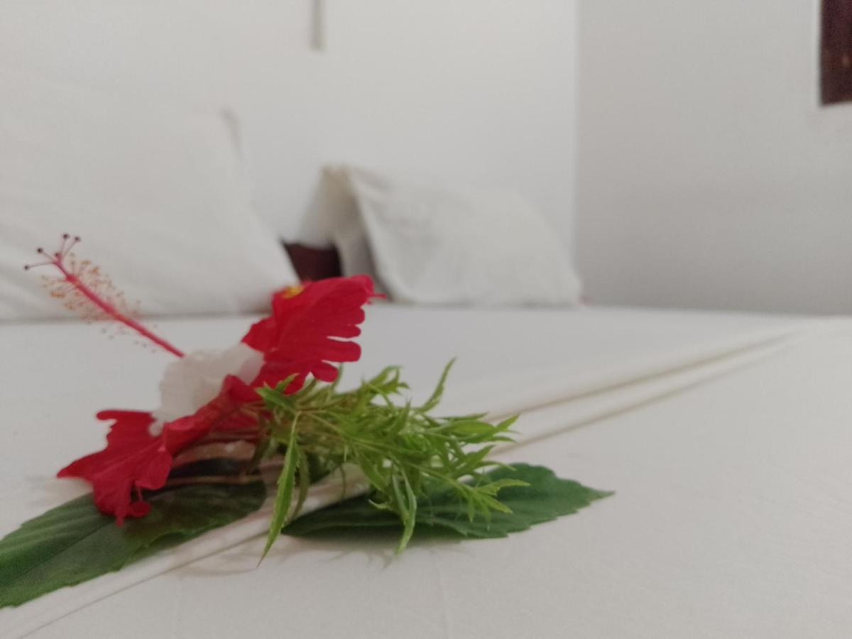 H & H Bungalows Nungwi Kültér fotó